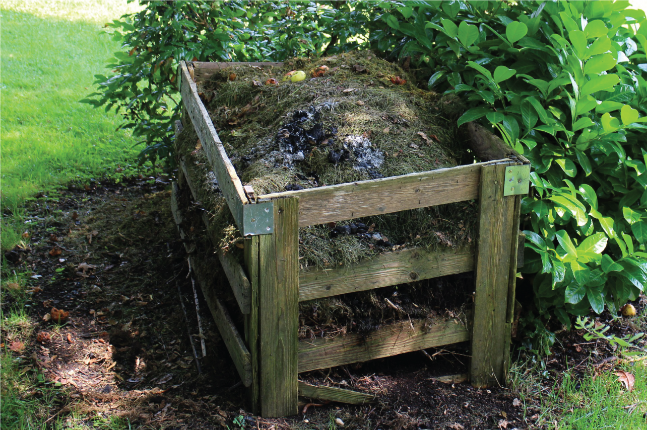 Composting – Everything That You Need To Know